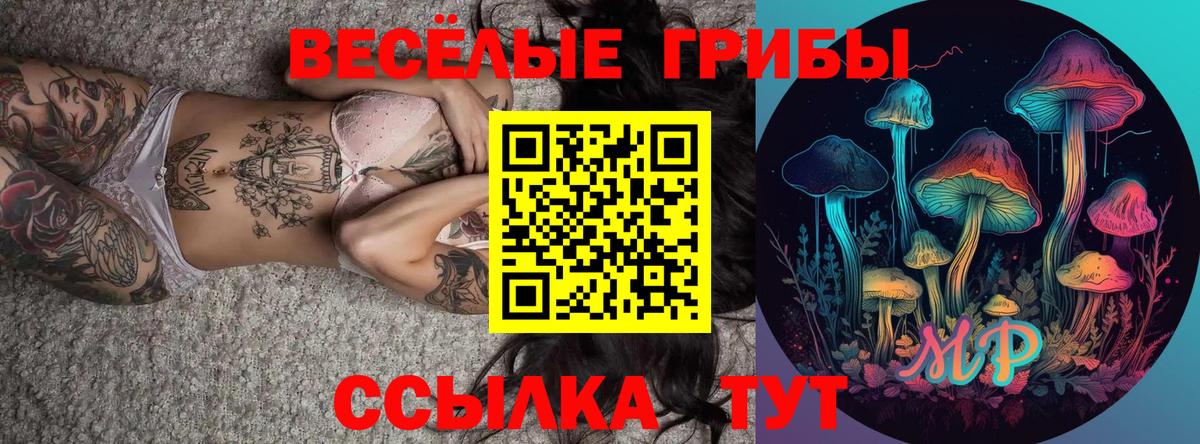 Галлюциногенные грибы прущие грибы Мытищи