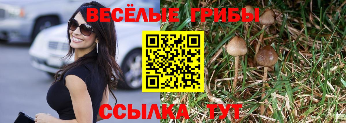 Мытищи  Галлюциногенные грибы MAGIC MUSHROOMS  Вход с VPN 