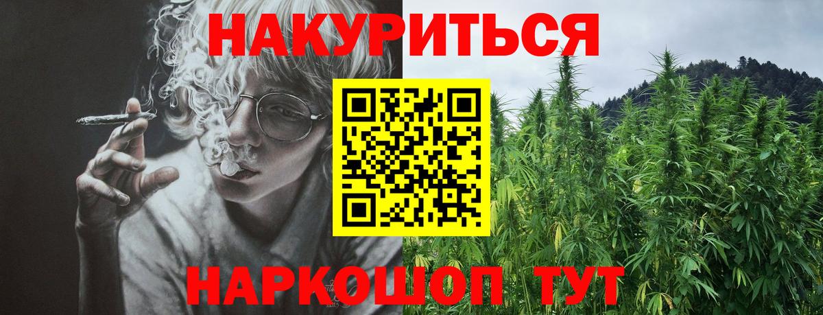 Конопля ГИДРОПОН  Вход с VPN  Мытищи  Конопля AK-47  Каннабис план 